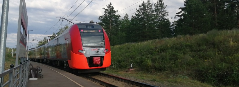 В Зубчаниновке грузовой поезд сбил насмерть муж...