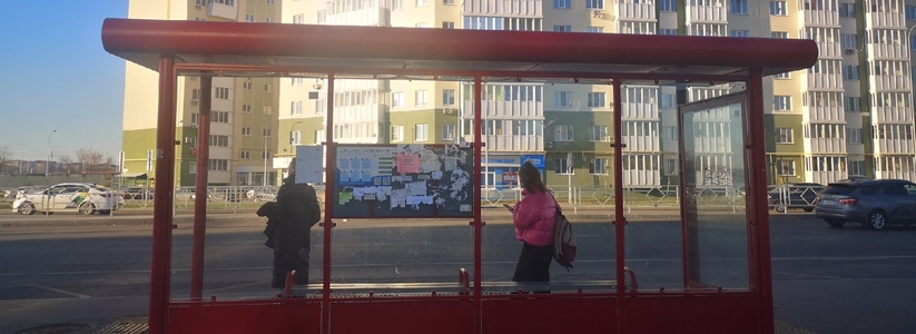 В Тольятти очистят более 500 остановок