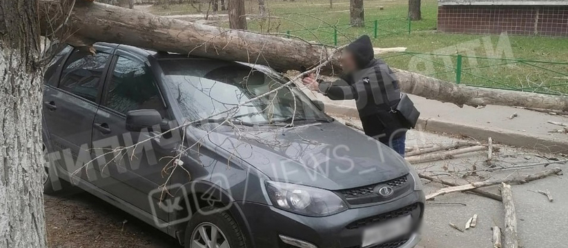 В Тольятти видны последствия ураганного ветра