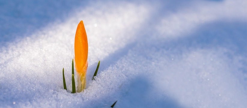 Специалисты Московского планетария сообщили о в...