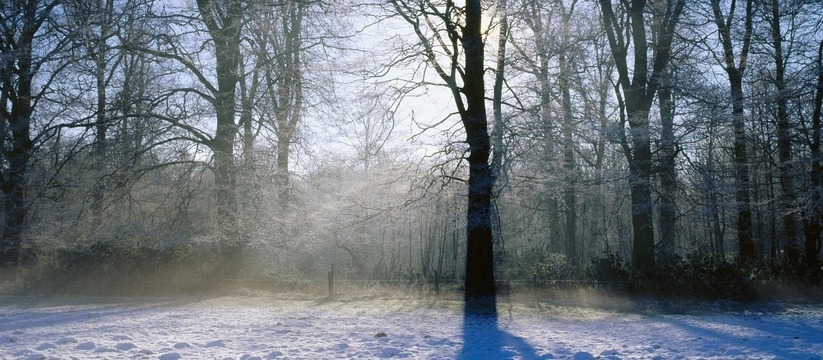 Самый сильный мороз придет в регион в воскресенье
