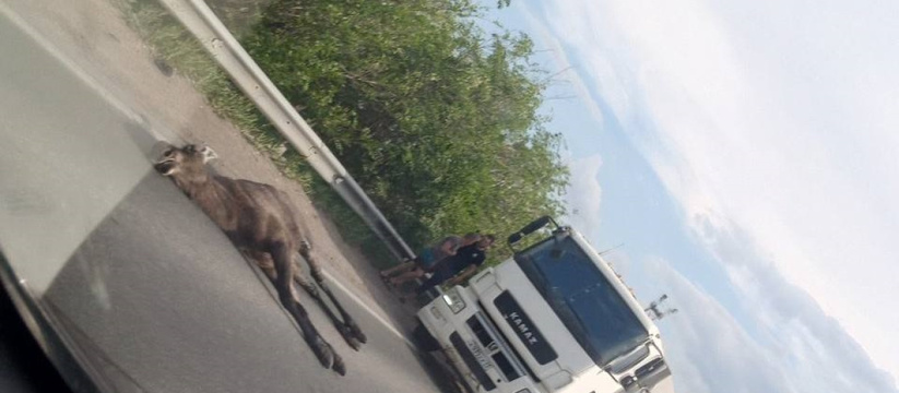 Раскрыта правда про страшную смерть матери в Са...