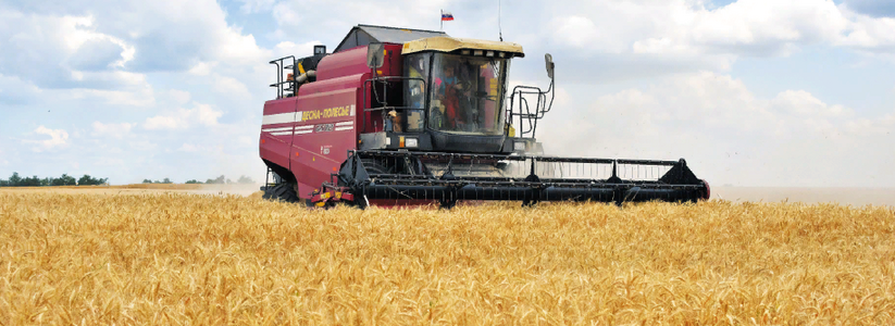 Аграрии в Самарской области собрали более 1,6 млн тонн зерна
