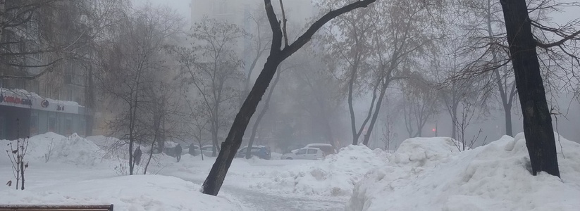 Синоптики сделали первые прогнозы на предстоящую зиму в Самарской области
