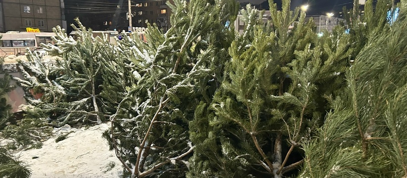 Самые интенсивные осадки ожидаются 28 декабря