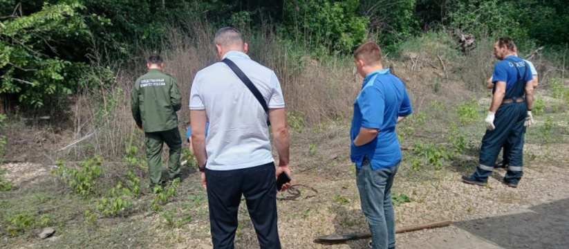 Выкинул в ближайший колодец: В Тольятти у проходной автозавода нашли изуродованный труп