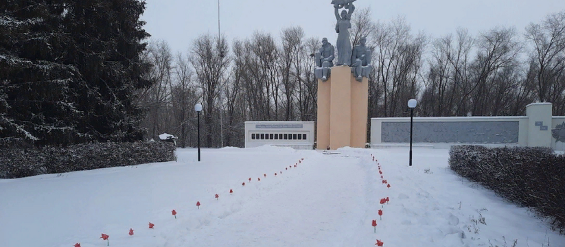 В Самарской области в память о героях-земляках прошла акция "Красные тюльпаны" В Самарской области в память о героях-земляках ...