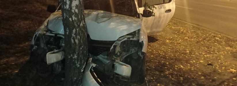 В Тольятти молодежь пострадала при въезде на машине в дерево