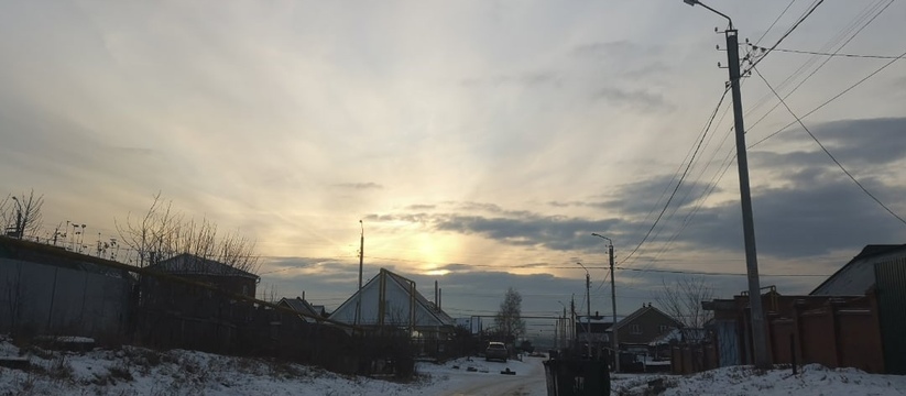 В Самарской области во многих районах обнаружили опасную болезнь В Самарской области обнаружили опасную болезнь