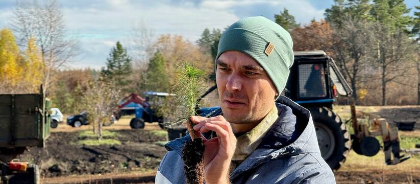 Цель нацпроекта "Экологическое благополучие" в Самарской области выполнена В регионе высажено 856 гектаров новых зеленых н...