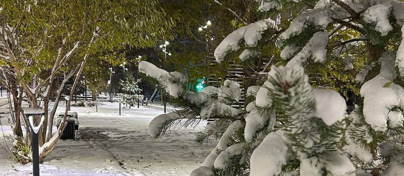 В начале декабря зима в Самарской области будет...
