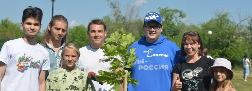 В Самарской области 8 июля 2022 года единороссы помогли высадить аллею из 35 кленов