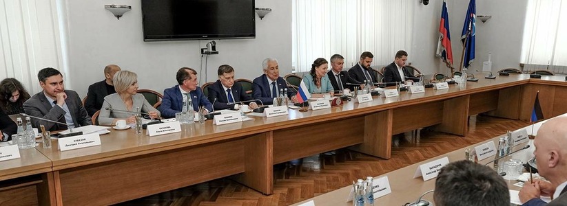 «ЕР» и Народный совет ДНР определили направления законодательства