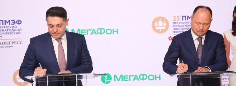 Жителям Тольятти рассказали о сотрудничестве Мегафона и «Россети Ленэнерго»