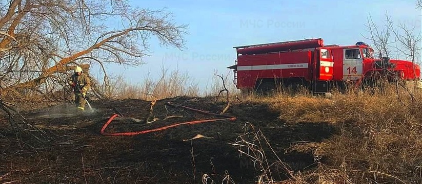 Все уже началось: В Самарской области зафиксированы крупные лесные пожары В Самарской области зафиксированы крупные лесны...