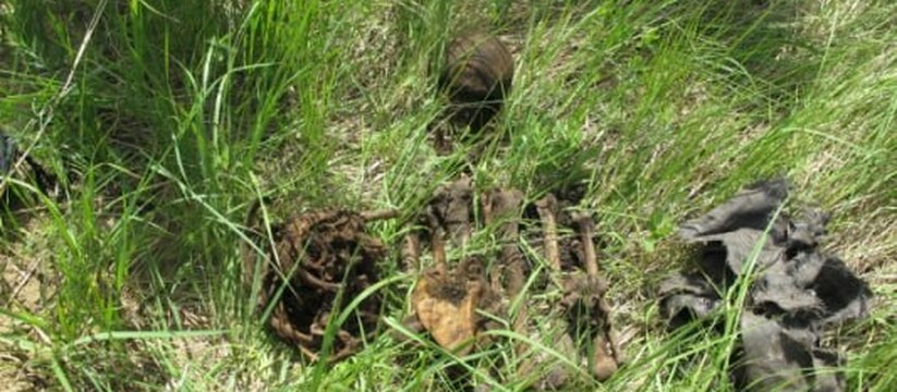 Не могли найти 10 лет: В Самарской области обнаружены останки жертвы "чёрных риэлторов"