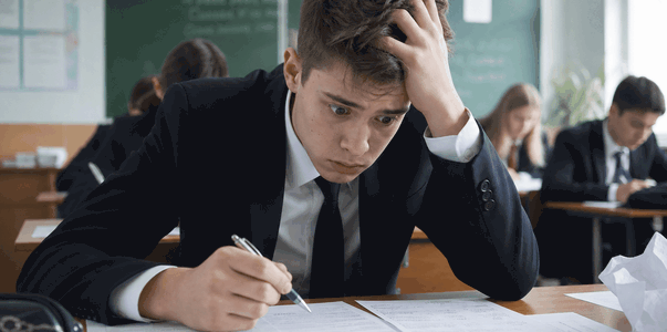 ОГЭ, ЕГЭ и нервы: научный подход к поддержке шк...