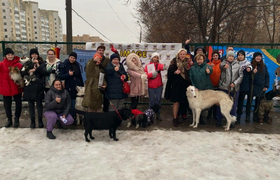 В Ленинском районе Самары появилась площадка для выгула собак