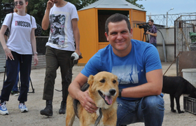 Самарского депутата Романа Балтера возмутил массовый расстрел собак в Прибрежном