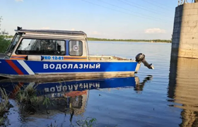Спасти его уже было невозможно. В Самарской обл...