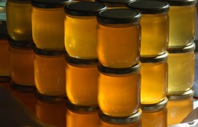 Россельхознадзор проверил 100 партий грузов в а...