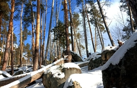 МТС накрыла сетью 4G район знаменитых Рачейских...