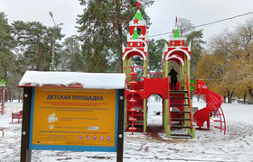 Лежали лишь почерневшие остатки. В Тольятти ого...