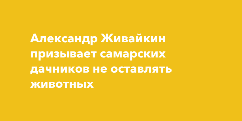 Александр Живайкин призывает самарских дачников не оставлять животных